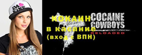 индика Зерноград