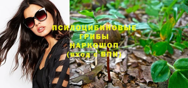 твердый Зеленокумск
